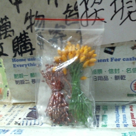 觀看圖片2