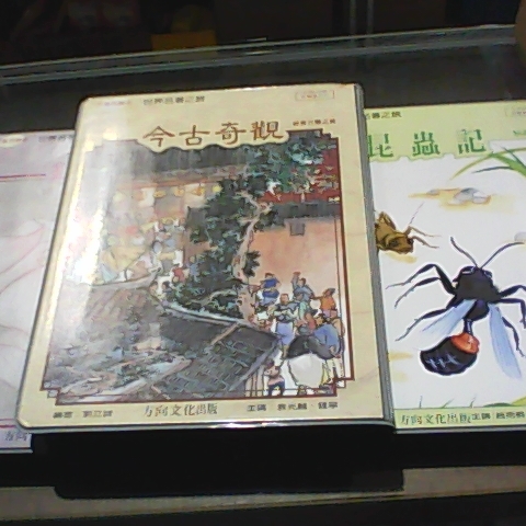 進入明細