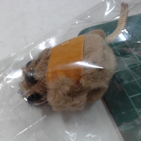觀看圖片4