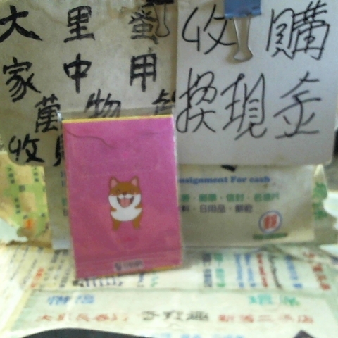 觀看圖片2