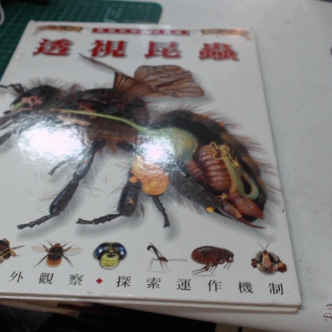 觀看圖片3