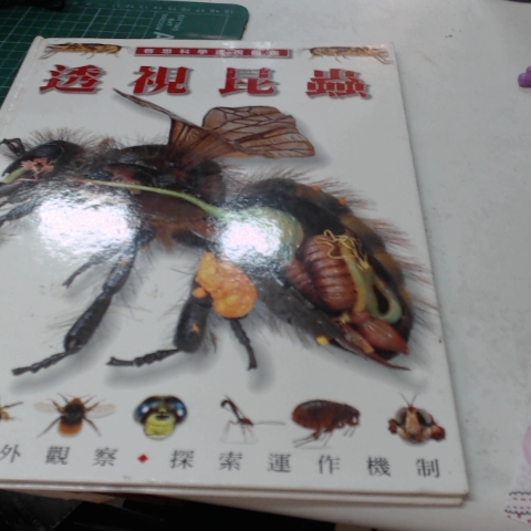 觀看圖片4