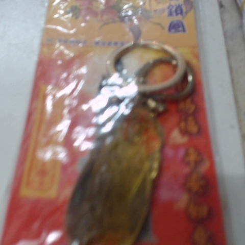 觀看圖片4