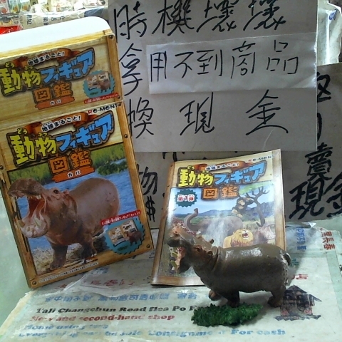觀看圖片1