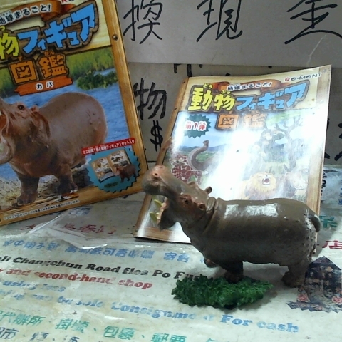 觀看圖片2