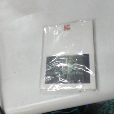 進入明細