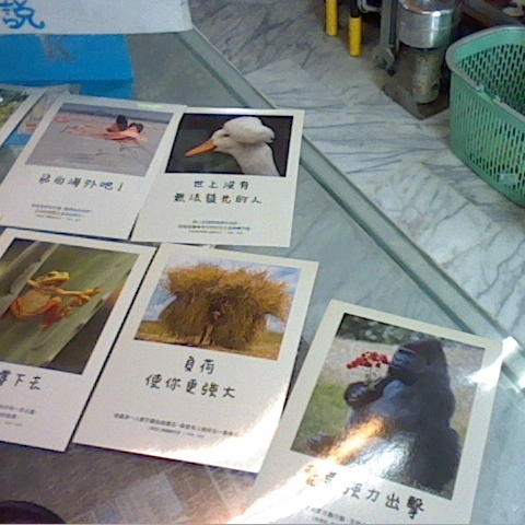 觀看圖片2