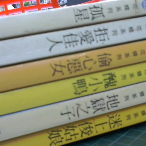 進入明細