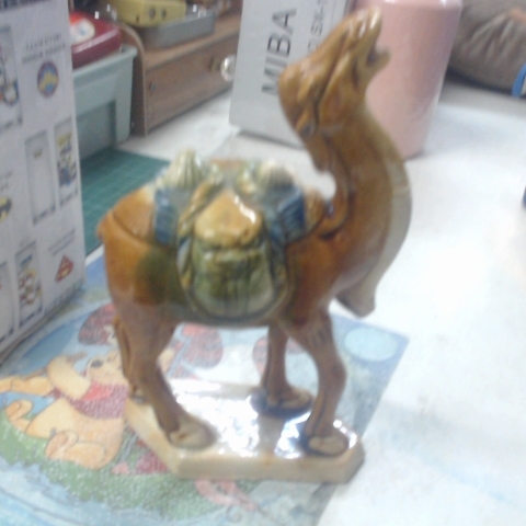 觀看圖片1