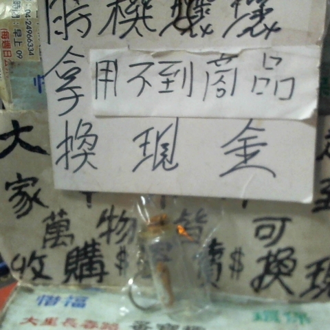 觀看圖片1