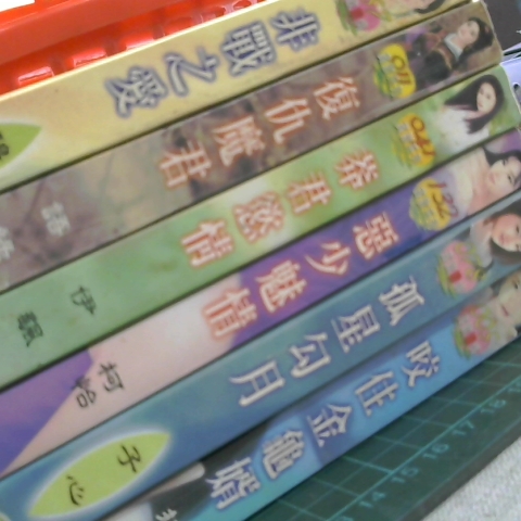 進入明細