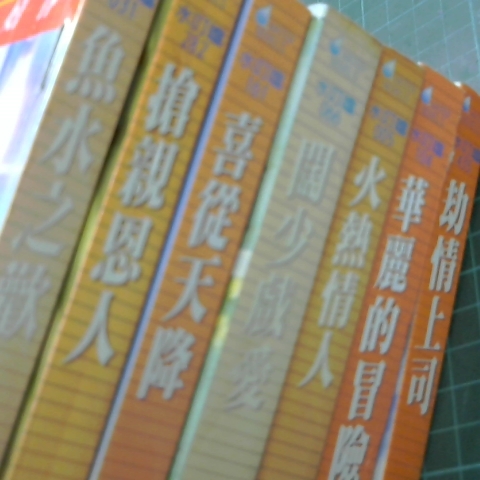 進入明細