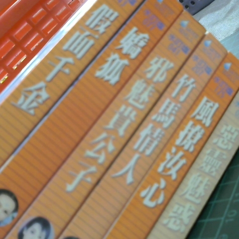 進入明細