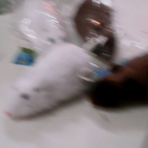 觀看圖片4