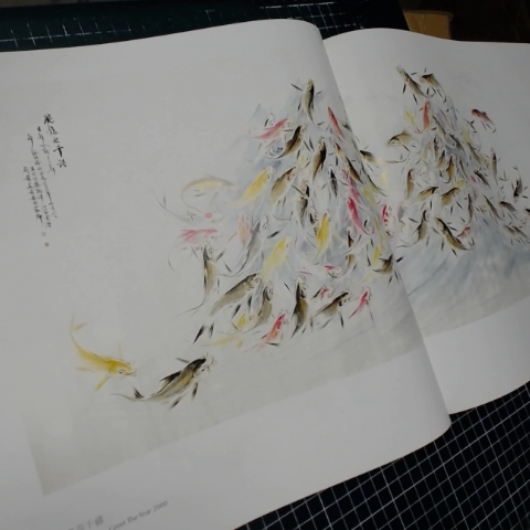 觀看圖片4