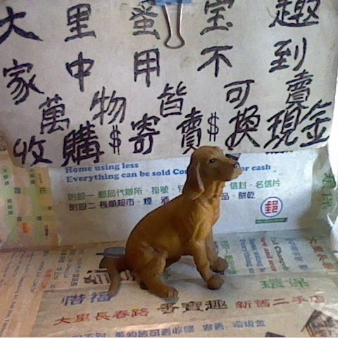 觀看圖片1