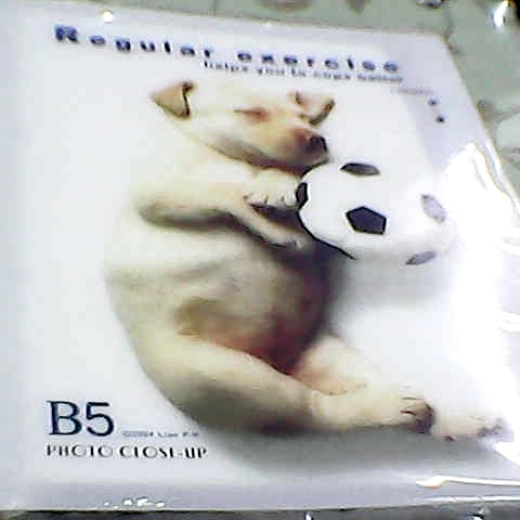 觀看圖片1