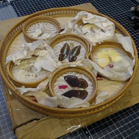 進入明細
