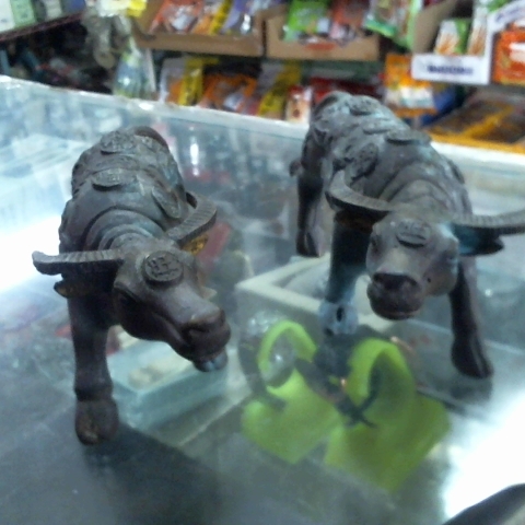 觀看圖片1