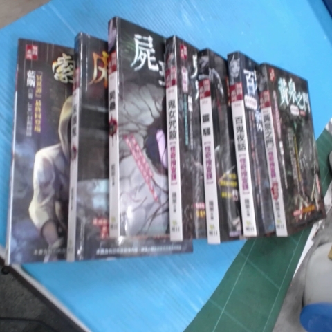 進入明細