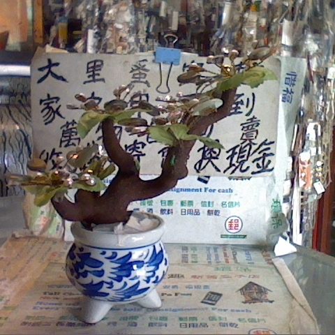 觀看圖片4