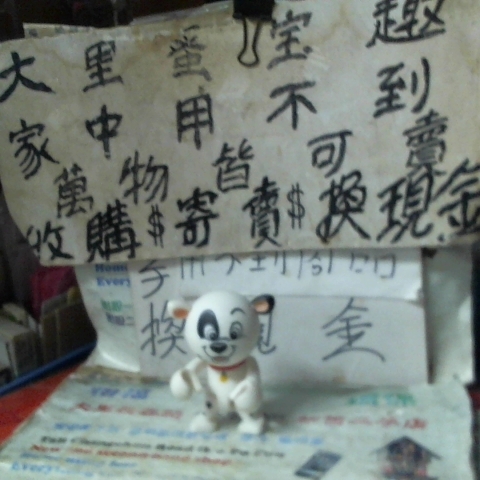 觀看圖片1