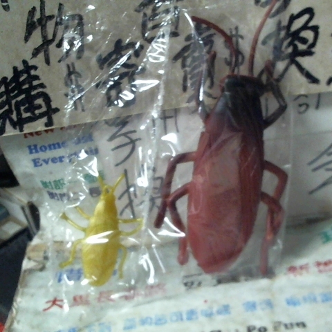觀看圖片2