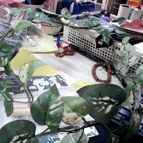 觀看圖片1