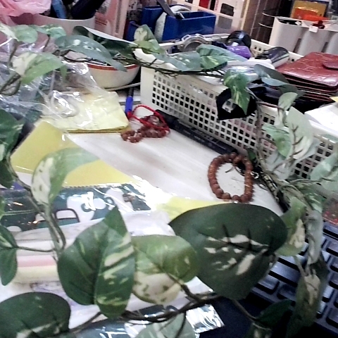 觀看圖片2