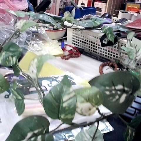 觀看圖片4