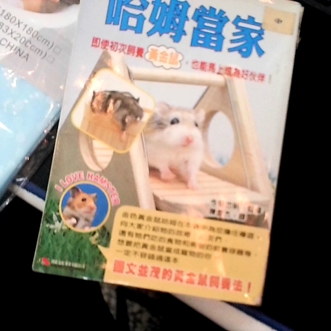 觀看圖片1