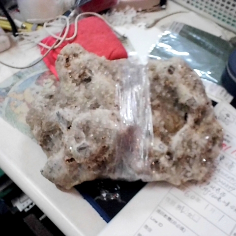 進入明細