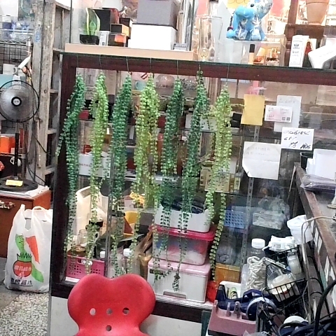 觀看圖片2