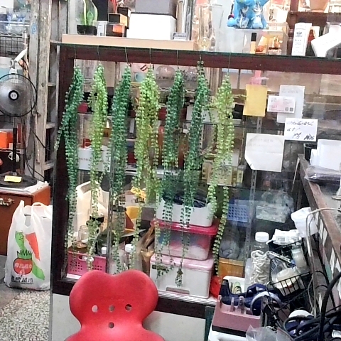 觀看圖片4
