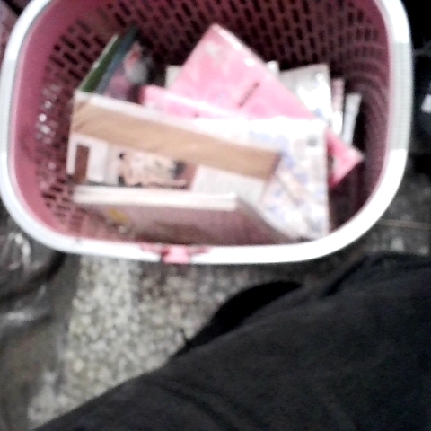 進入明細