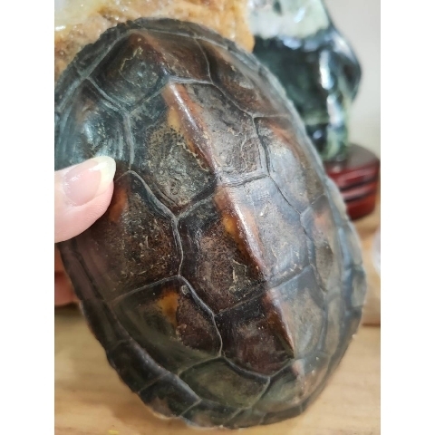 觀看圖片3