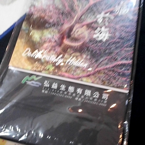 觀看圖片3