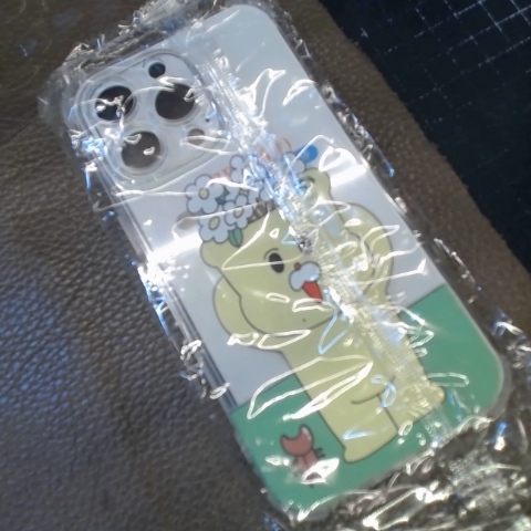 進入明細