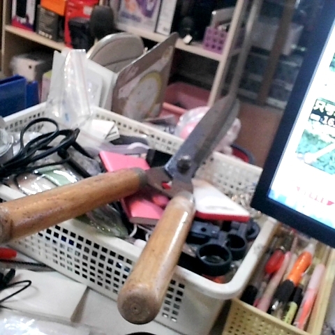 進入明細