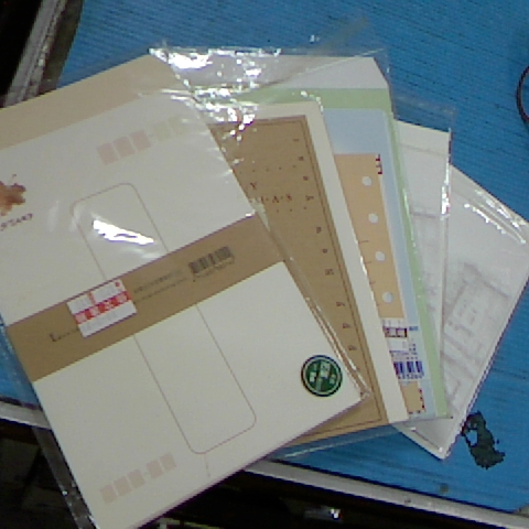 進入明細