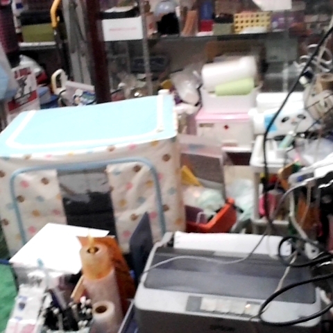 觀看圖片2