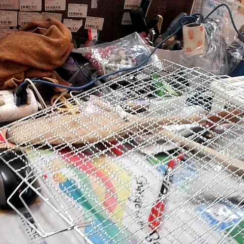 進入明細