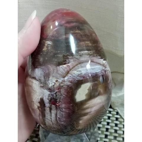 觀看圖片4