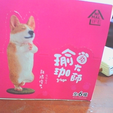 觀看圖片2
