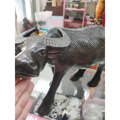 觀看圖片4