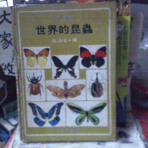 觀看圖片1