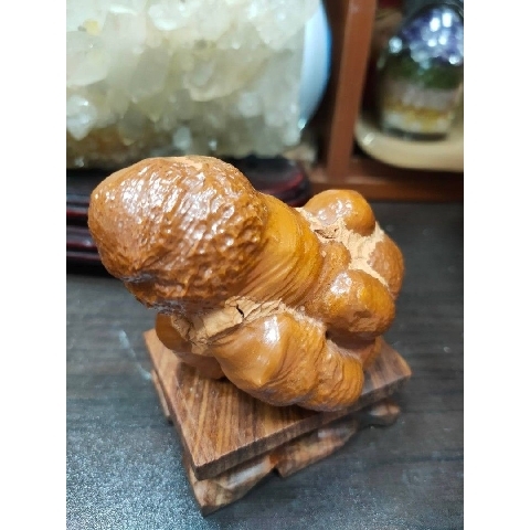 觀看圖片2