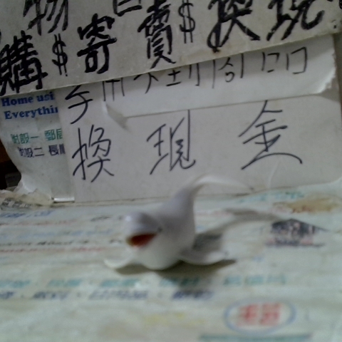 觀看圖片2