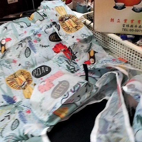 進入明細