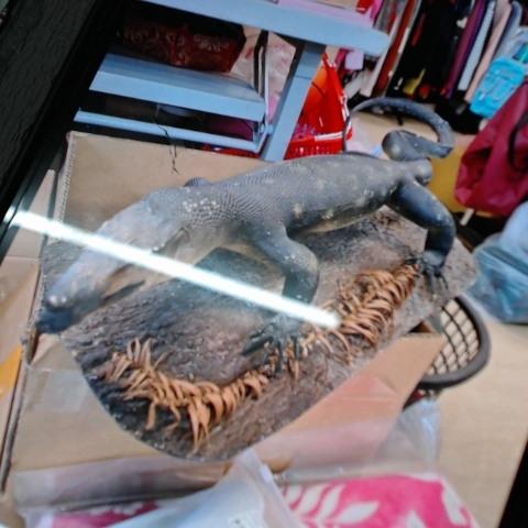 觀看圖片4